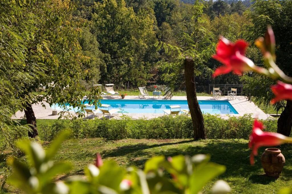 Villa Liz Tuscany, Private Pool, Hot Tub, Property Fenced, Pets Allowed ポッピ エクステリア 写真