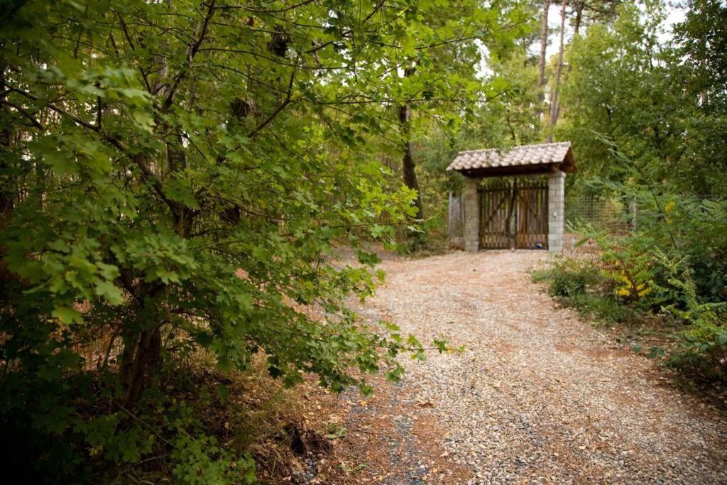 Villa Liz Tuscany, Private Pool, Hot Tub, Property Fenced, Pets Allowed ポッピ エクステリア 写真
