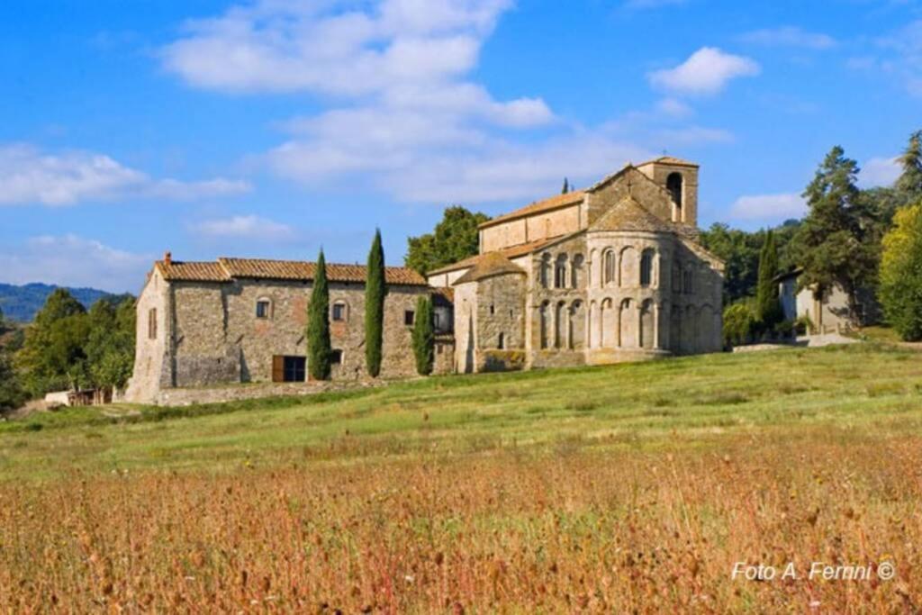 Villa Liz Tuscany, Private Pool, Hot Tub, Property Fenced, Pets Allowed ポッピ エクステリア 写真
