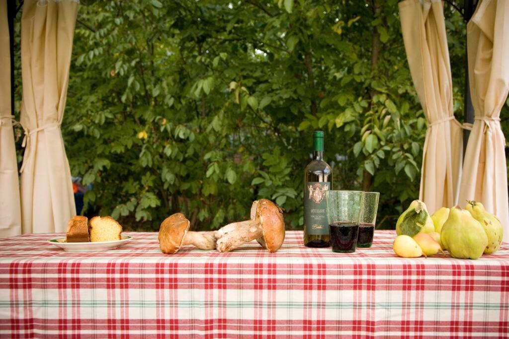 Villa Liz Tuscany, Private Pool, Hot Tub, Property Fenced, Pets Allowed ポッピ エクステリア 写真