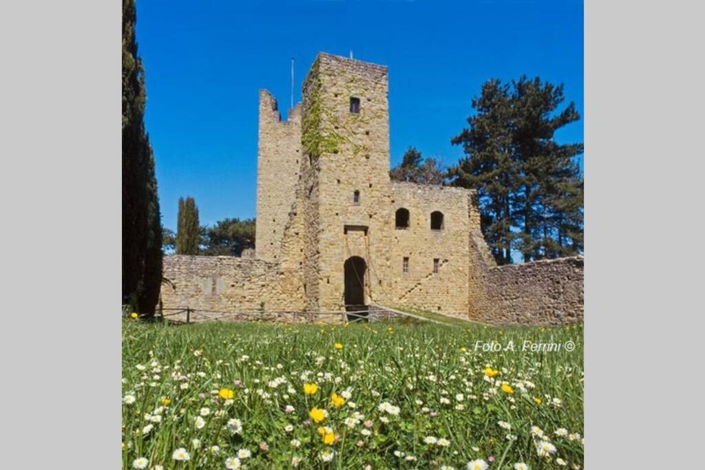 Villa Liz Tuscany, Private Pool, Hot Tub, Property Fenced, Pets Allowed ポッピ エクステリア 写真