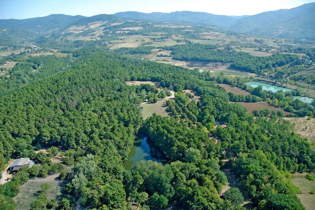 Villa Liz Tuscany, Private Pool, Hot Tub, Property Fenced, Pets Allowed ポッピ エクステリア 写真
