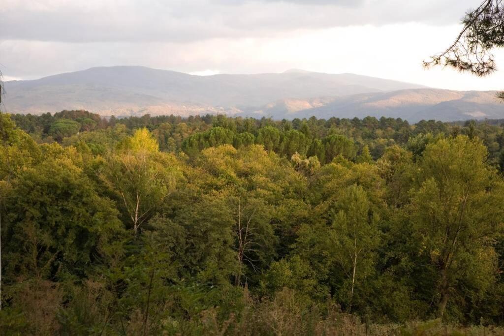 Villa Liz Tuscany, Private Pool, Hot Tub, Property Fenced, Pets Allowed ポッピ エクステリア 写真